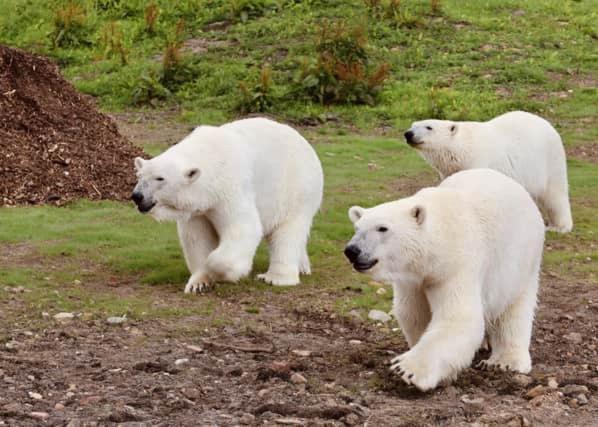 Chic 2 Bed Peak District Cottage Barn Near Alton Towers, Polar Bears, Chatsworth House Leek Luaran gambar