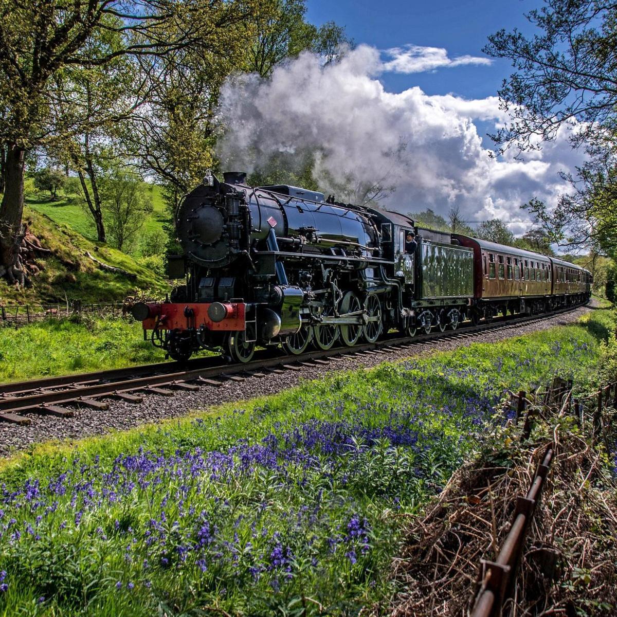 Chic 2 Bed Peak District Cottage Barn Near Alton Towers, Polar Bears, Chatsworth House Leek Luaran gambar